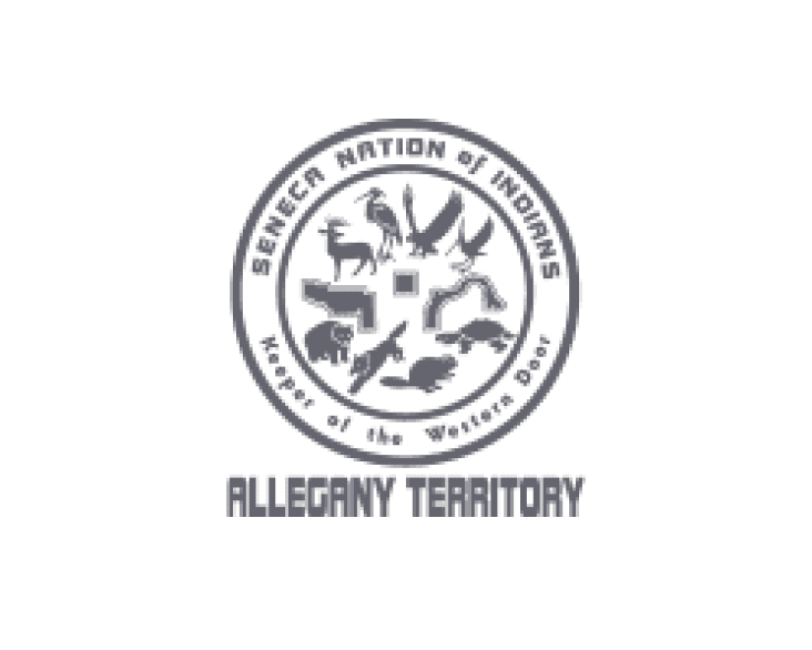 vibe-av-allegany-territory-logo