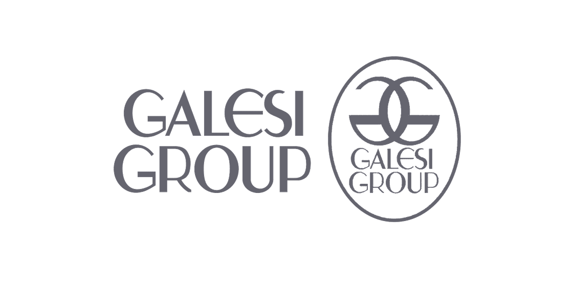 vibe-av-galesi-group-logo